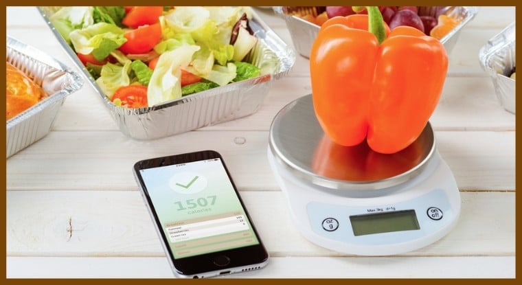 A portable travel food scale for tracking your diet plan