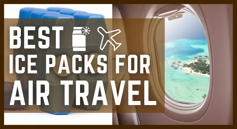 Best Ice Packs for Air Travel