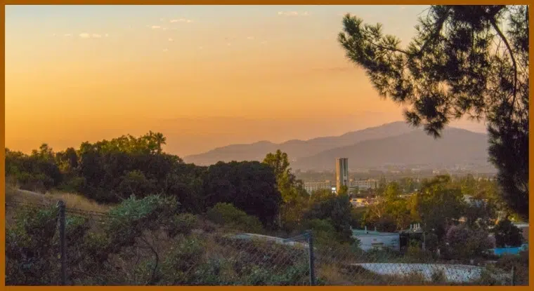 UCR Botanic Garden, California