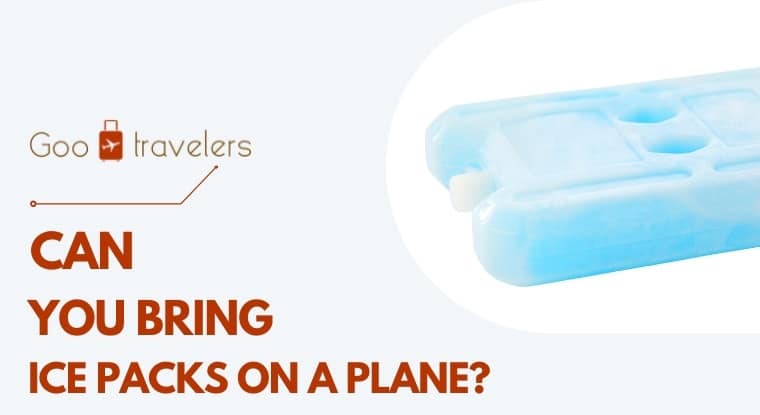 Can You Bring Ice Packs On A Plane Know All The TSA Rules